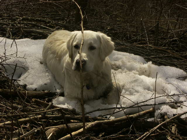 posledný sneh